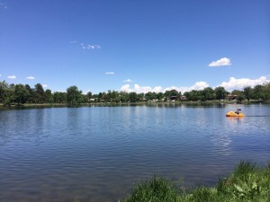 Smith Lake paddle boating in Washington Park